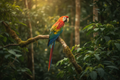 Experiencia Campestre Guacamayo Medellín - Evolutiva